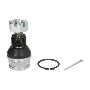 RH03-6002 REINHOCH