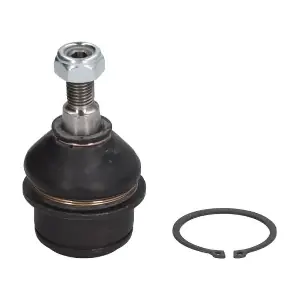 REINHOCH RH036009