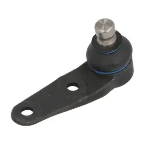 RH03-0003 REINHOCH
