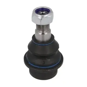 REINHOCH RH03-0020