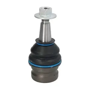 RH03-0021 REINHOCH