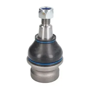 RH03-0041 REINHOCH