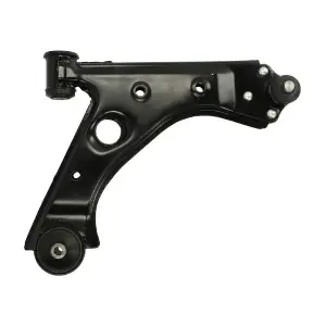 RH04-5019 REINHOCH