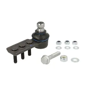 RH03-4019 REINHOCH