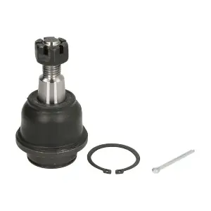 RH03-4025 REINHOCH
