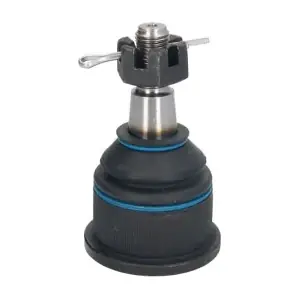 RH03-6005 REINHOCH