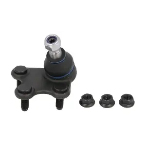 REINHOCH RH030022