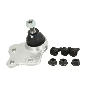 RH03-3017 REINHOCH