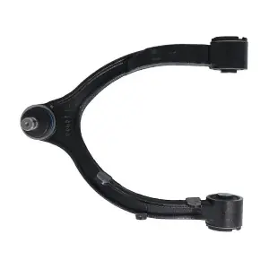 RH04-6053 REINHOCH