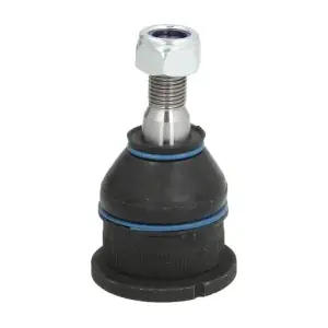 REINHOCH RH032009