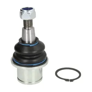 REINHOCH RH035009