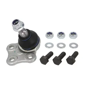 RH03-2031 REINHOCH