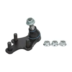 REINHOCH RH032046