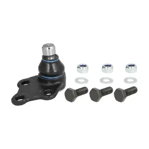 RH03-3007 REINHOCH