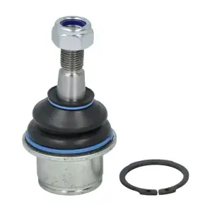 RH03-6012 REINHOCH