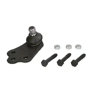 RH031012 REINHOCH