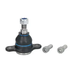 RH03-0038 REINHOCH