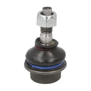 RH57-2006 REINHOCH