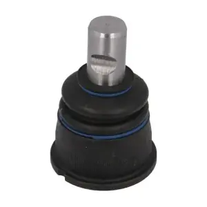 REINHOCH RH033003