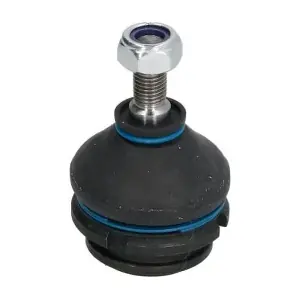 RH03-1008 REINHOCH