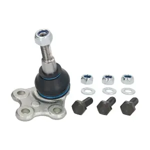 RH03-2024 REINHOCH