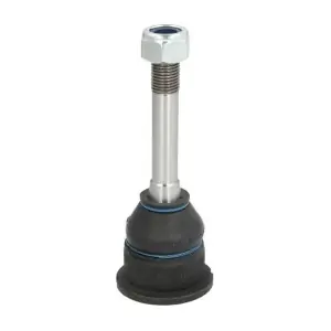 REINHOCH RH033009