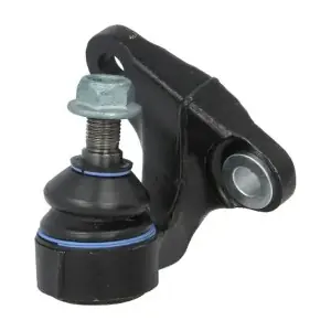 RH03-3029 REINHOCH