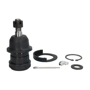 REINHOCH RH03-6008