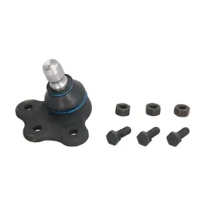 REINHOCH RH035008