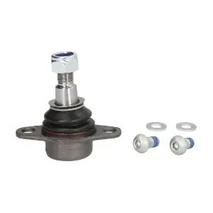 REINHOCH RH033019