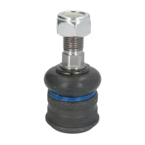 RH033024 REINHOCH