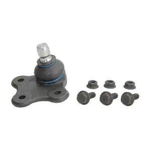 REINHOCH RH031006