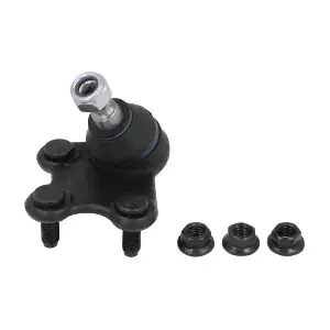 REINHOCH RH030023
