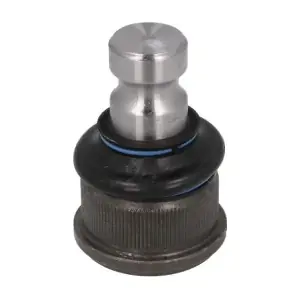 RH03-2022 REINHOCH