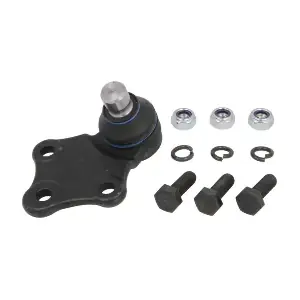 RH03-2021 REINHOCH
