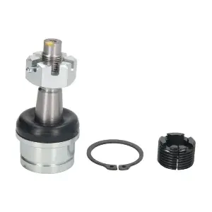 RH03-6004 REINHOCH