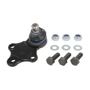 RH03-2020 REINHOCH