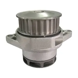 MTR 12135794