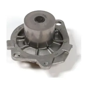 MTR 12135593