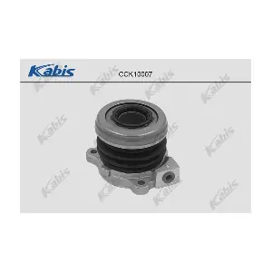 CCK10007 KABIS