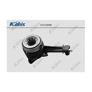 CCK30099 KABIS