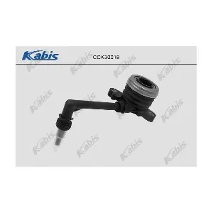 CCK30018 KABIS