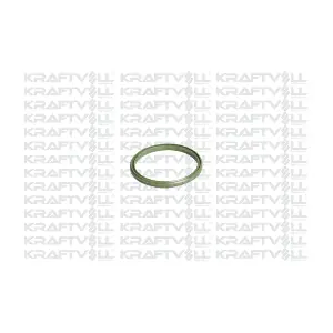 10031899 KRAFTVOLL GERMANY