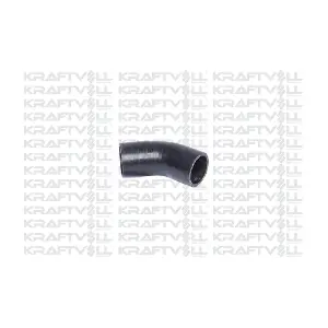 10031813 KRAFTVOLL GERMANY