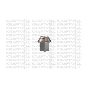 21020001 KRAFTVOLL GERMANY