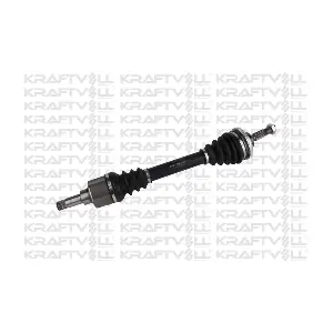 01010398 KRAFTVOLL GERMANY