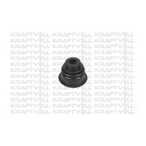 10020255 KRAFTVOLL GERMANY
