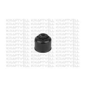 10050230 KRAFTVOLL GERMANY