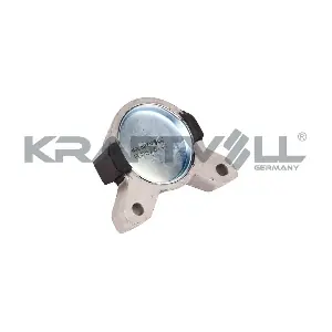 10010134 KRAFTVOLL GERMANY