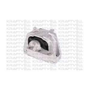 10010391 KRAFTVOLL GERMANY